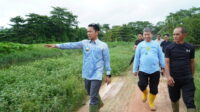 2601 Walikota Tinjau Basirih