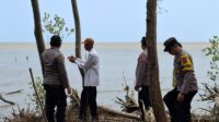 IMG-20260917-WA0052